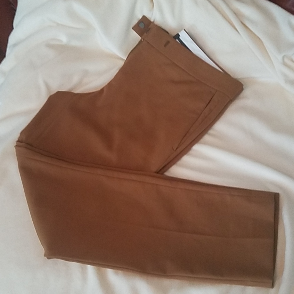 Ann Taylor pants